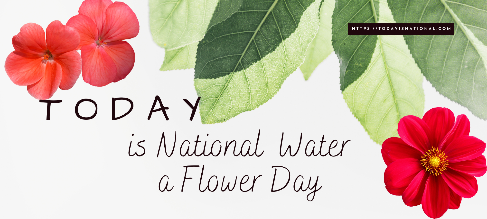 National Water a Flower Day